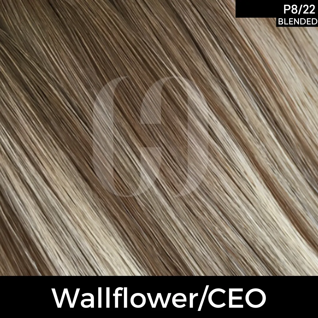 Clutch Secret Tape-In Hair Extensions 22"