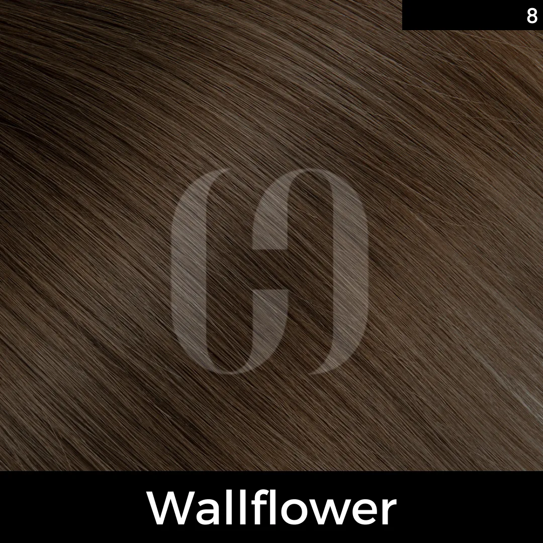 Clutch Secret Tape-In Hair Extensions 22"