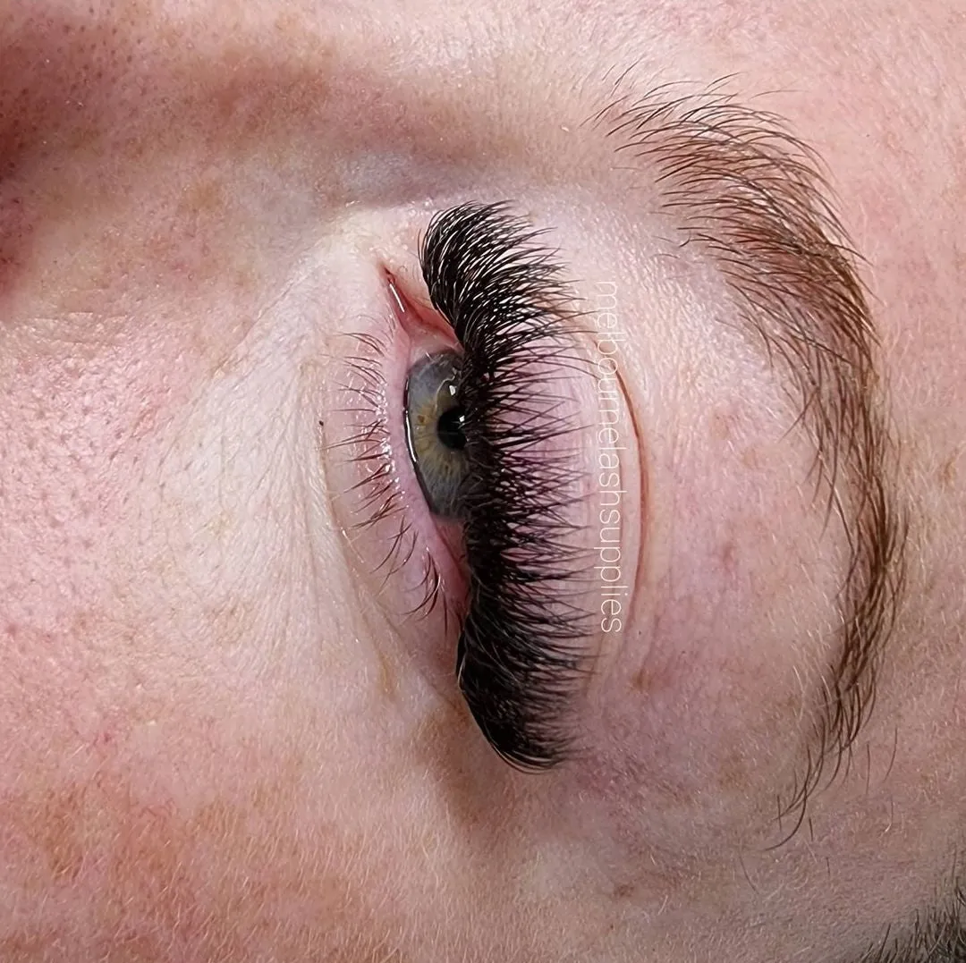 IN PERSON GROUP Eyelash Training Classic, Hybrid & Premade Volume - with full kit (Maximum 2 students)
