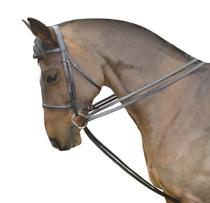 Kincade Leather Draw Reins Set