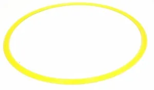 Morgan Agility Step Hoop