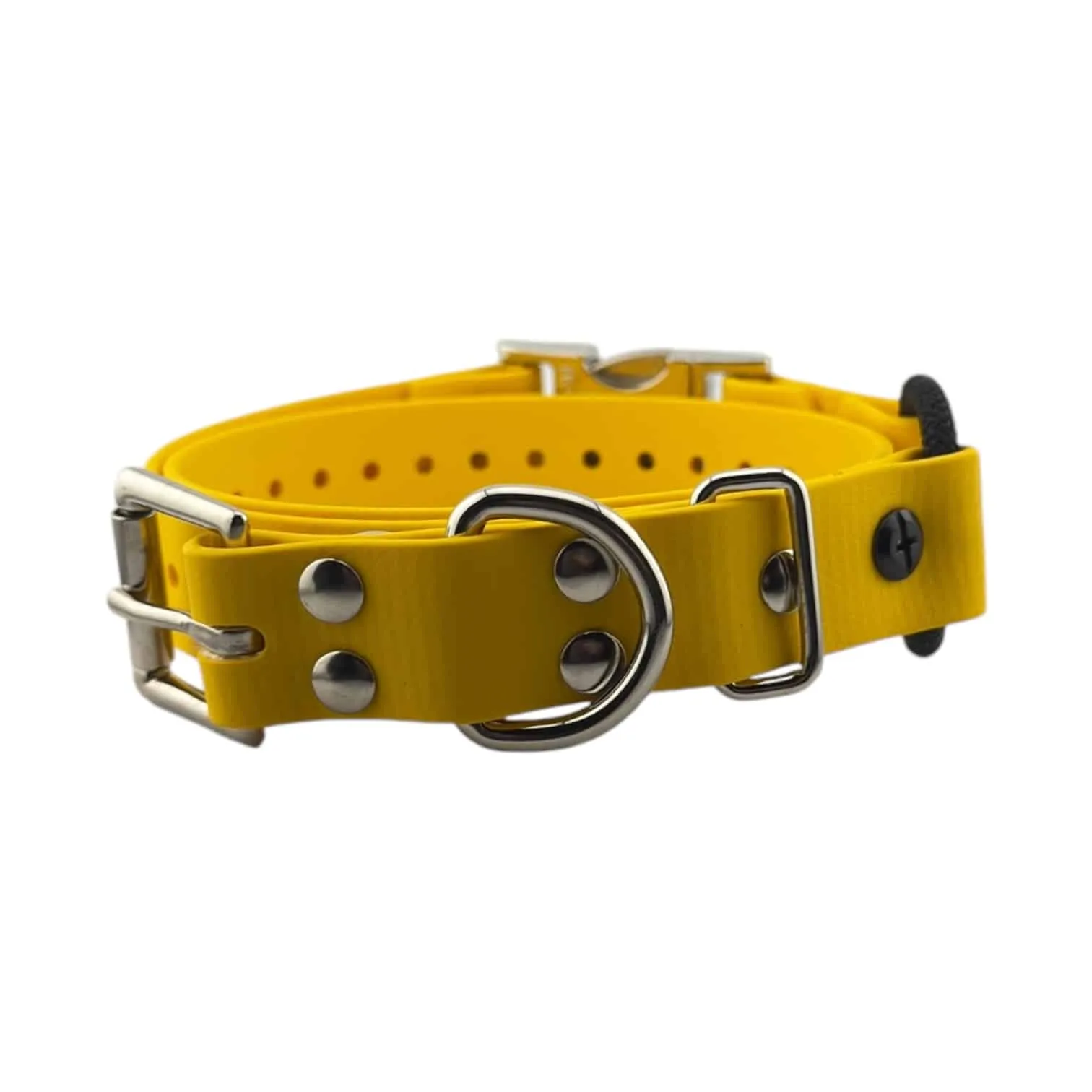 Quick Snap Bungee Collar 1"