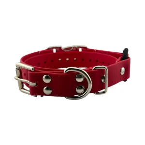 Quick Snap Bungee Collar 1"