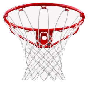 Standard Basketball Rim