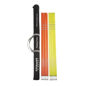 Standard Training Poles