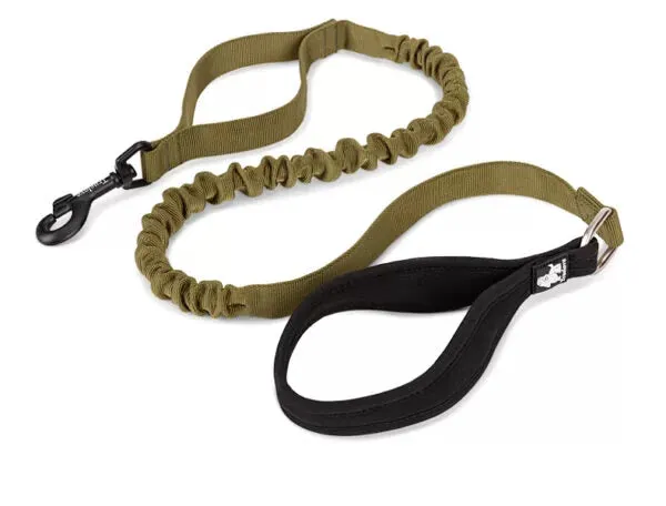 Truelove Durable Bungee Dog Leash TLL2281